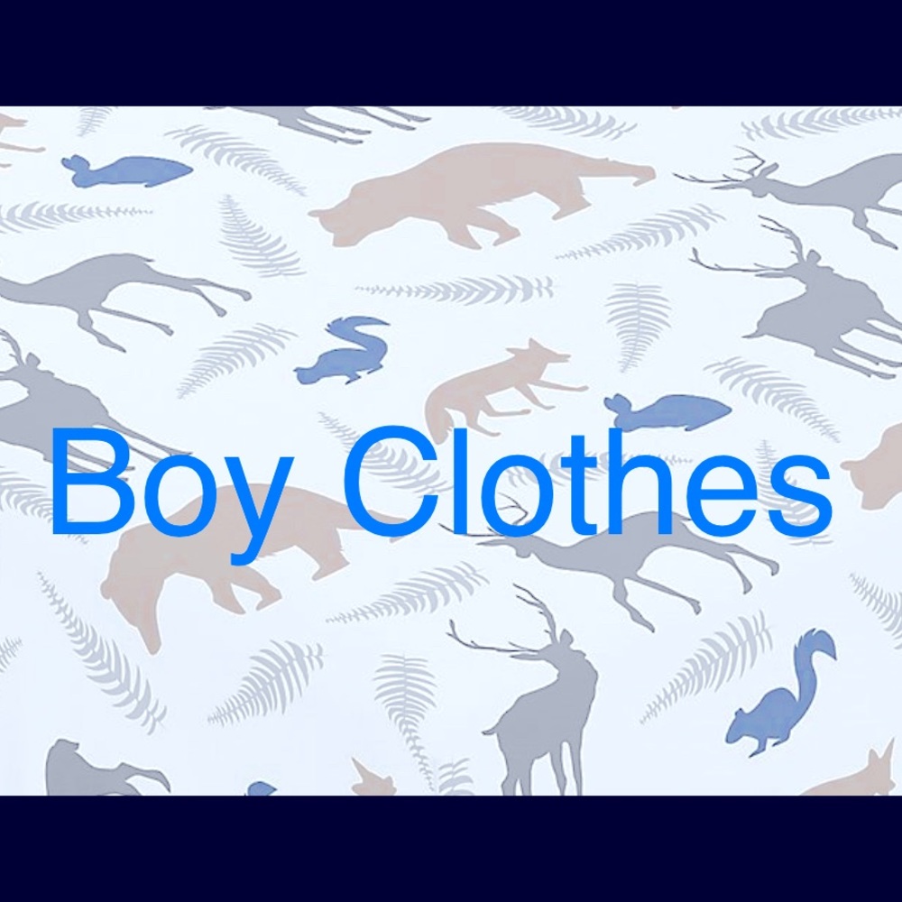 ⬇️Boys 12m-5T💙 scroll ⤵️